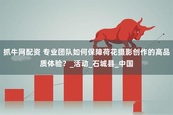 抓牛网配资 专业团队如何保障荷花摄影创作的高品质体验？_活动_石城县_中国
