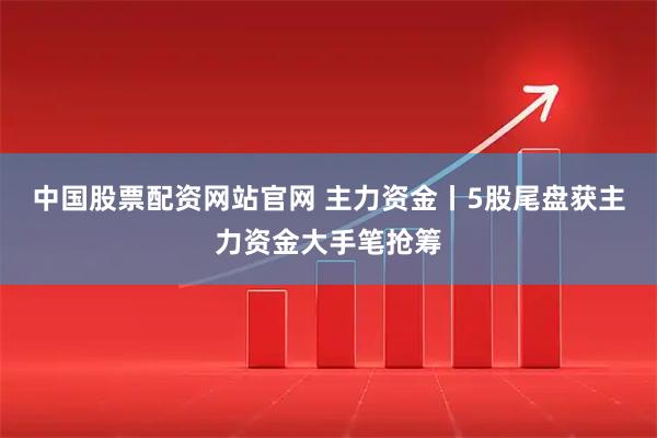 中国股票配资网站官网 主力资金丨5股尾盘获主力资金大手笔抢筹