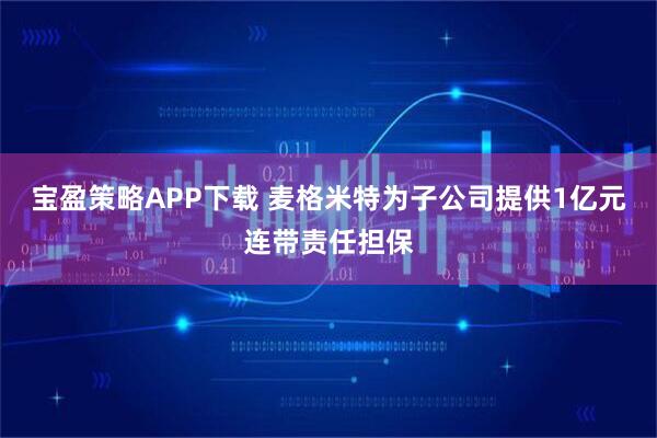 宝盈策略APP下载 麦格米特为子公司提供1亿元连带责任担保