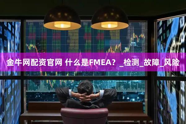 金牛网配资官网 什么是FMEA？_检测_故障_风险