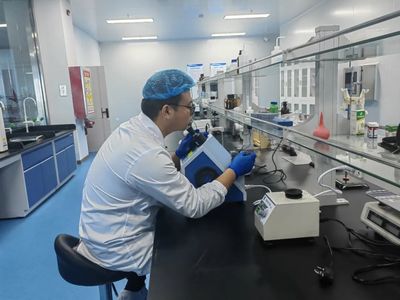 新疆西帕蛋产品产销两旺