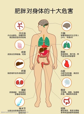 肥胖对身体的十大危害