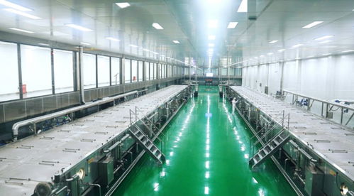 健康榨菜新标杆品质溯源,乌江轻盐榨菜智慧工厂开展 云探厂