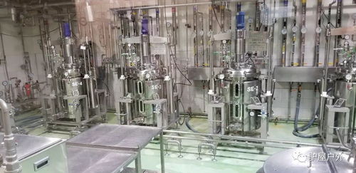 养乐多工厂探游 100亿活性菌的健康秘密